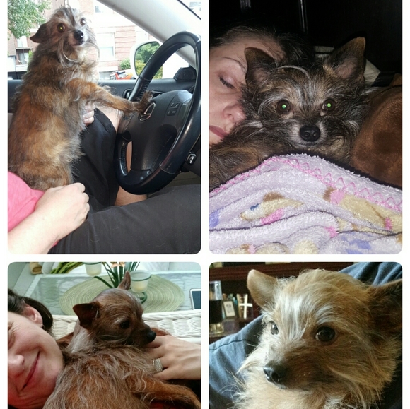 Meet your Posher, Lisa - Picture 10 of 11